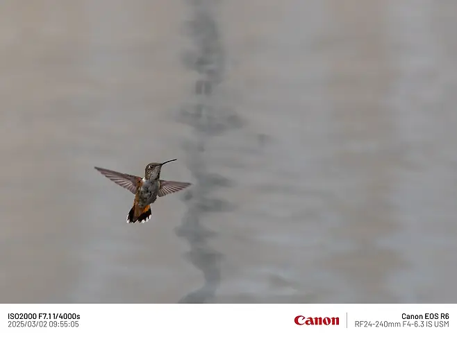 7fe88075b58075f738f1c1b014c104033f7997ef56fcb2fa7e8106