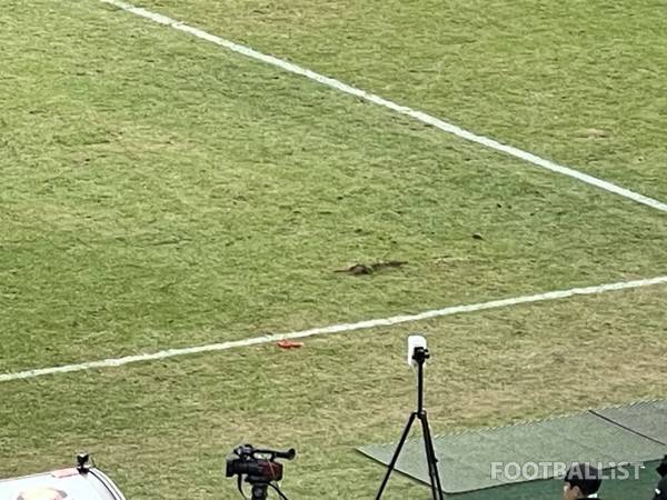 서울월드컵경기장의 훼손된 잔디. 김희준 기자