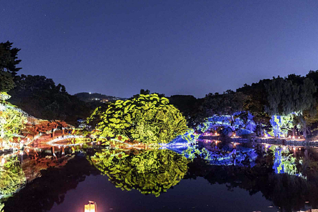 지난해 ‘물빛 연화’ 미디어아트로 꾸며진 창경궁 대춘당지. 국가유산청