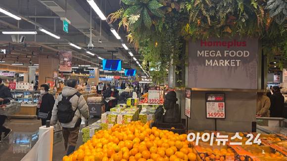 홈플러스 메가푸드마켓 강서점 매장 모습. [사진=아이뉴스24 DB]