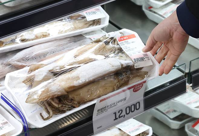 고수온 등의 기후변화 영향으로 어획량이 줄며 오징어와 고등어, 명태, 마른 멸치 등 밥상에 오르는 수산물 가격이 상승하고 있다. 오징어의 작년 생산량은 1만3500t으로 전년보다 42% 줄었다. 사진은 3일 서울 한 대형마트에 진열된 오징어. [사진 = 연합뉴스]