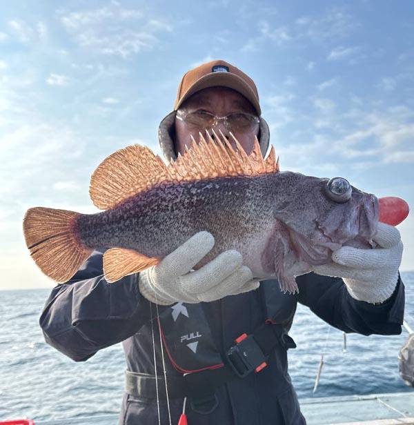 부산권 심해에서 낚은 참우럭.