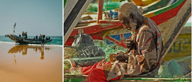 (좌) 세네갈 (우) 가나(기사와 직접적 관련 없음) / 사진=pixabay