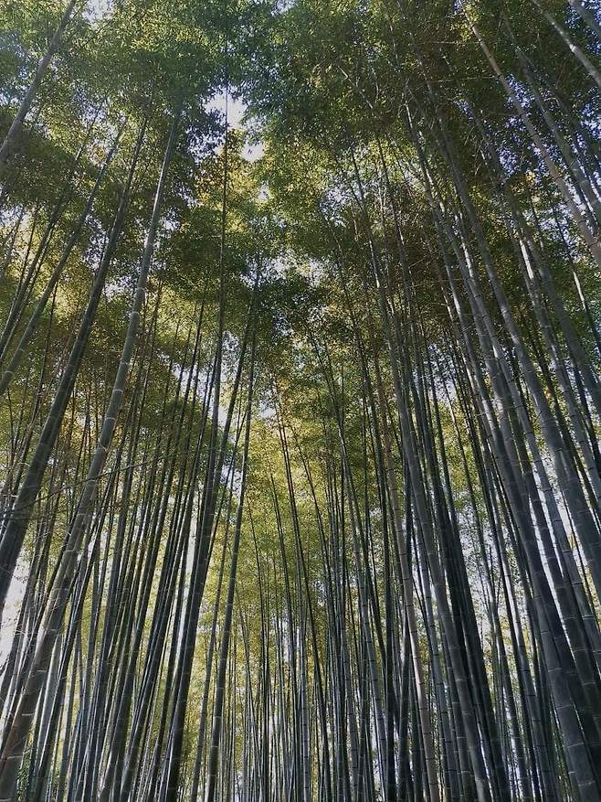 7ced9e2cf5d518986abce89544847c6a9b9102