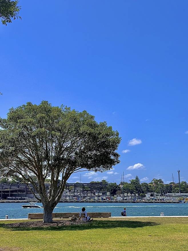 KakaoTalk_20250306_190520917.jpg [닉값여행] 시드니 6박8일 여행 2부 음식편 (스압주의)