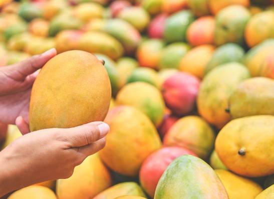 연구팀은 "망고의 자연적인 당 함량이 당뇨병이나 비만을 유발할 것이라는 오해가 많지만, 이번 연구 결과는 오히려 망고가 대사 건강에 도움이 될 수 있음을 보여준다"고 설명했다. 사진은 본 기사 내용과 무관함. [사진=Fine Dining Lovers]