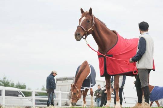 24년 명예경주마 입소행사 및 복지지금 전달식