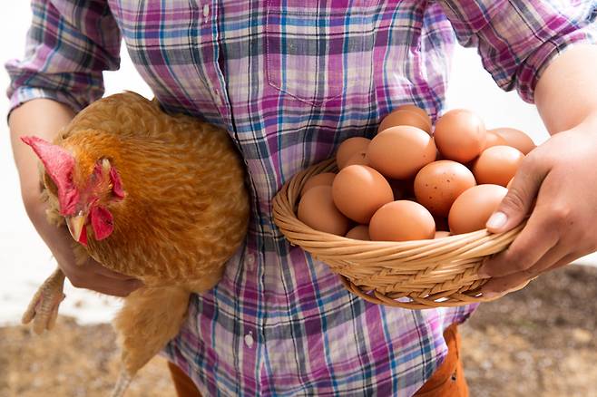 [게티이미지뱅크]