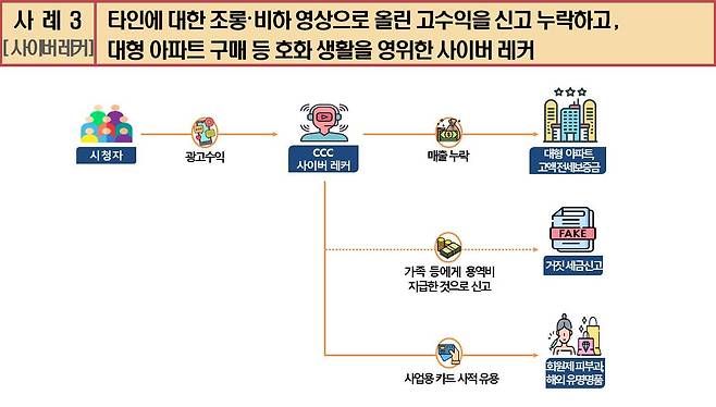 사이버 레커 유튜버, 거짓 비용처리로 세금 축소 [국세청 제공]