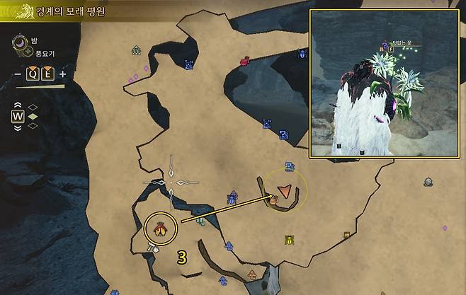 - 구역 3 남부 덧없는 꽃 위치