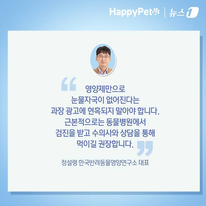 ⓒ News1 김초희 디자이너