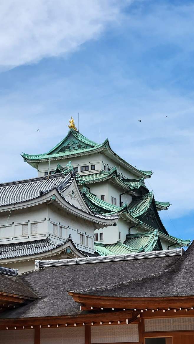 3fb8c32fffd711ab6fb8d38a4782766de7e59e499e234d57d3fa55d0ef25c3965af2c1371aa7c169420396f63dcd