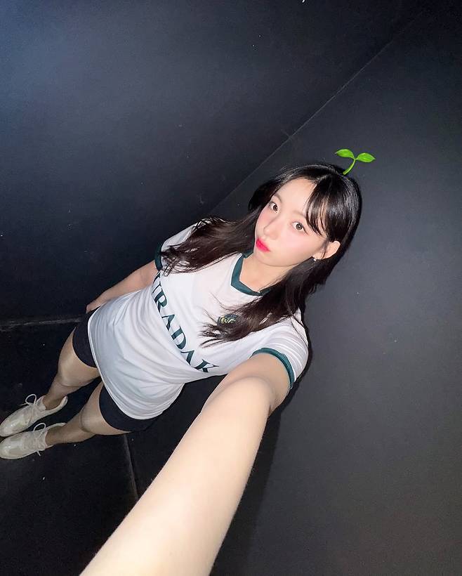 482876664_18488378203017701_1612018816736536720_n.jpg 하지원 치어리더 인스타 업뎃 (김포FC 프로필 사진)