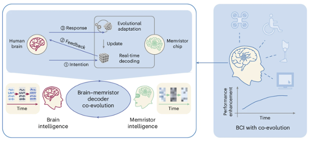 중국 톈진대와 칭화대 공동 연구진이 지난달 17일 국제학술지 '네이처 일렉트로닉스'에 공개한 양방향 적응형 BCI 기술 개념도. 네이처 제공