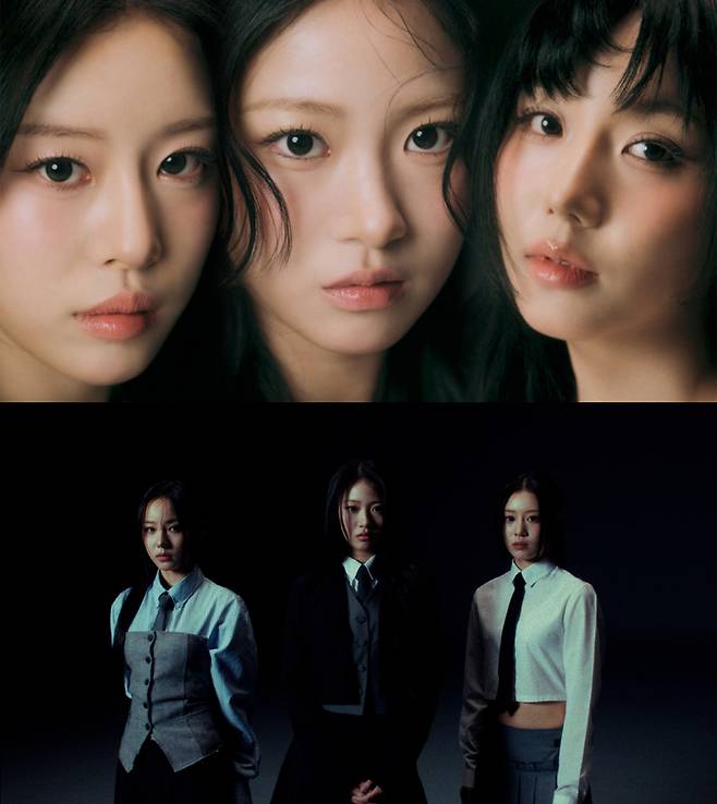 어블룸. 사진ㅣ매시브이엔씨