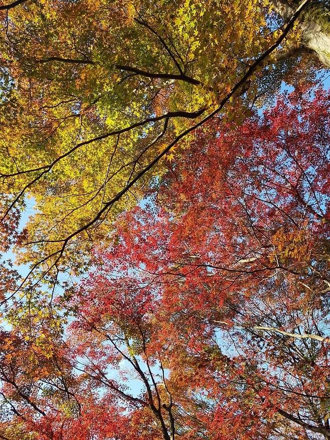 0ceb8973b2816ff323e9f2e4339c70697212c0ab462b7f2192b334d3c5d132564bb392136525777b3c56765b22c78ddb5a00ca57d717