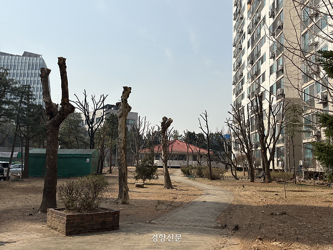 7일 서울 마포구에 있는 한 대단지 아파트에서 나무가 가지치기 되어 있다. 오경민 기자