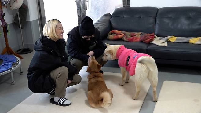 행동전문가 윤이쌤, 미애쌤에게 다가가 애교를 부리는 누룽지와 장수. 최민석 기자