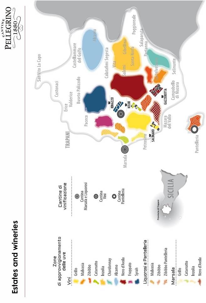 펠레그리노 포도밭과 품종.