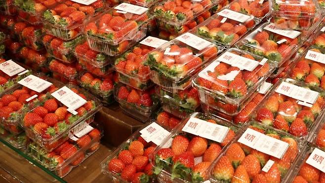 작년 12월 서울의 한 대형마트에서 장을 보러온 시민들이 딸기를 고르고 있다. 뉴스1