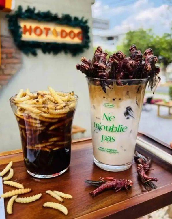 메뚜기 라떼와 대나무벌레 아메리카노. 광명망