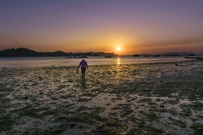 겨울 갯벌에서 저녁거리를 캐는 아주머니
