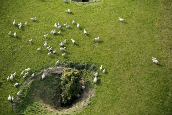 자연이 제공하는 최고의 소재를 찾아 부드럽고 기능성 있는 원단으로 탄생시킨다. 사진 로로피아나