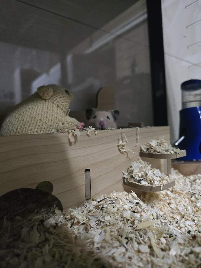 06bcdb27eae639aa658084e54484746e3e649c5241ea498cd8d14185774e54eb2a2d4103bfa9f8e8e229fc2ada