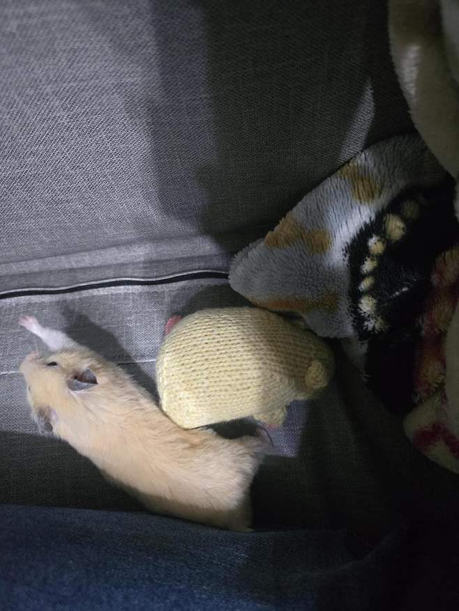 06bcdb27eae639aa658084e54484746e3e649c5241ed4888d1d7418e061415a2818e7048de56f213323a71110bd43cbf