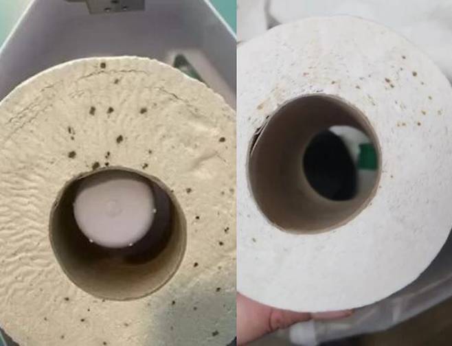 마약 투약 흔적으로 보이는 갈색과 녹색으로 얼룩져 있었으며 곳곳이 움푹 패여 있는 휴지. [사진=틱톡, 유튜브 '썰감자' 영상 갈무리]