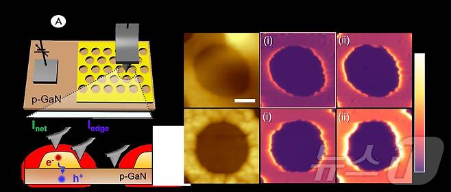 핫홀 흐림 증폭 및 실시간 분석 기술  개념도. (KAIST제공. 재판매 및 DB금지) /뉴스1