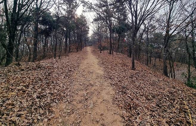 오는 7월 둔포면 중앙근린공원에도 약 900m 거리의 순환형 황톳길 산책로가 들어설 예정이다.&nbsp; 아산시