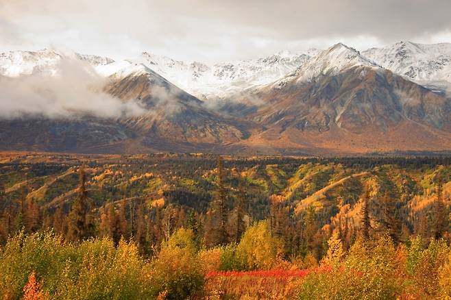 클루아니 국립공원. /사진= Tourism Yukon