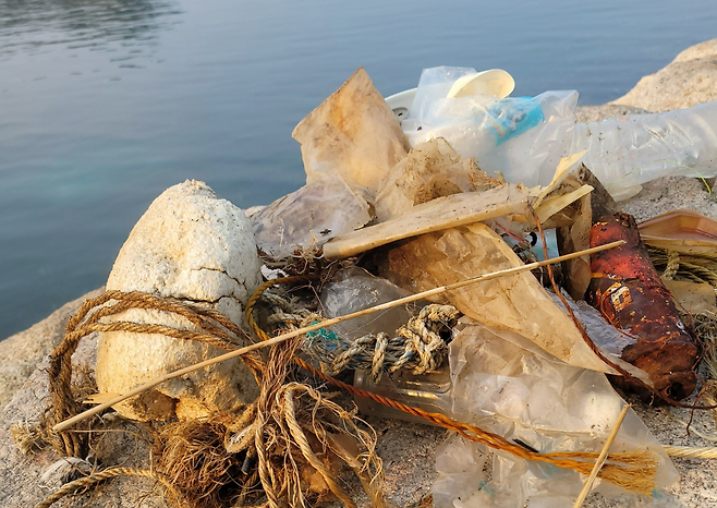 해안가에서 발견된 낚시 쓰레기.[권은정 시민활동가 제공]