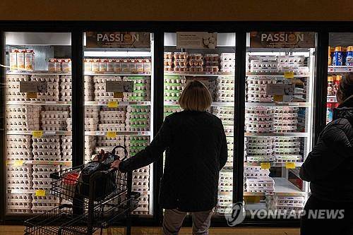 뉴욕시 한 식료품점의 계란 진열대 [AFP 연합뉴스 자료사진]