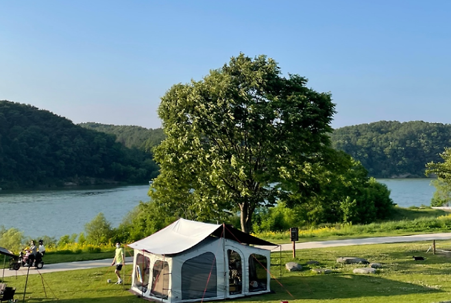 여주 금은모래캠핑장으로 강변쪽으로 타프 스크린 텐트가 쳐져 있고 큰 나무한그루가 서있다 산책하는 사람들과 봄날의 푸르름이 돗보이는 사진이다