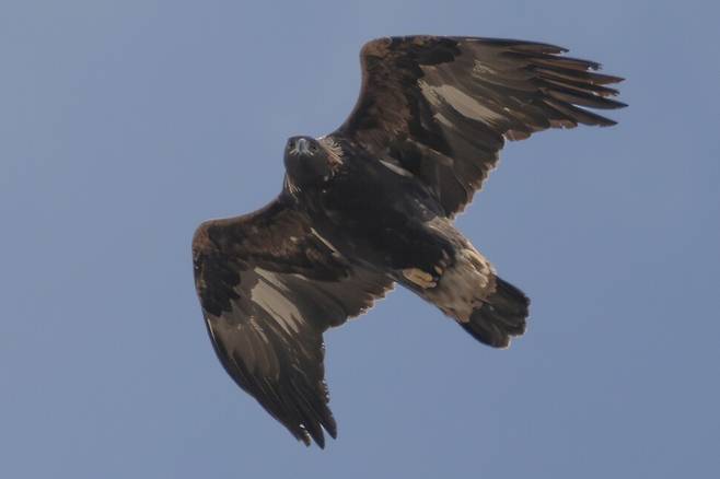 공기 저항을 줄이기 위해 날개를 접는다.