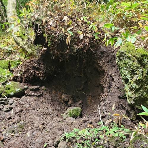 A씨 등이 캐낸 자연석이 박혀 있던 자리 [제주도 자치경찰단 제공. 재판매 및 DB 금지