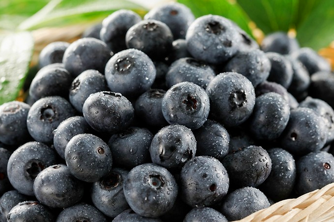 블루베리