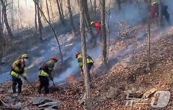 경북 청도 운문면 신원리 방음산 산불 현장에서 119산불특수대응단이 산불을 진화하고 있다. 이날 오전 10시48분쯤 시작된 산불은 오후 5시30분에 진화됐다. (경북소방본부 제공. 재판매 및 DB 금지) 2025.3.14/뉴스1 ⓒ News1 공정식 기자