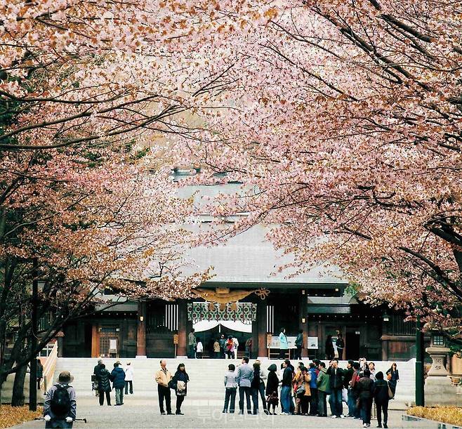 일본 삿포로의 홋카이도 신궁/사진 제공- 홋카이도 신궁