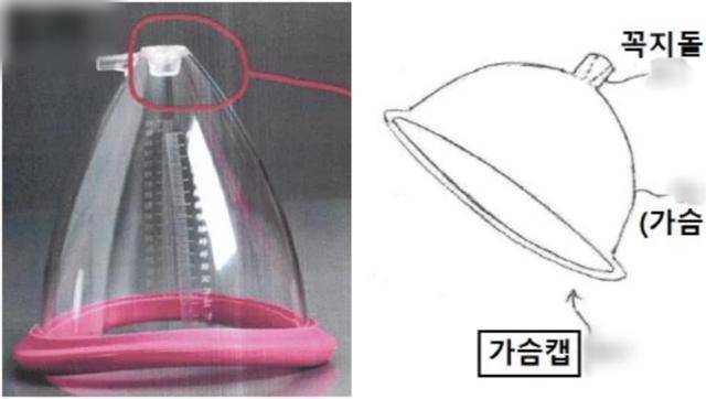 피고소인의 가슴확대기 제품 사진(왼쪽)과 고소인의 가슴확대기 특허발명 도안. 대전지검 제공