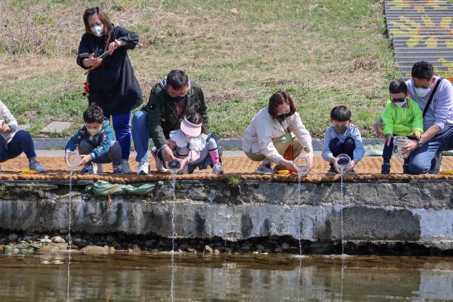▲ 양양 남대천 연어방류 행사 모습