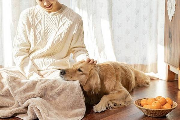 펫로스 증후군을 겪는 여성이 남편과 이혼하고 싶다며 조언을 구했다. 사진은 기사와 직접적인 관련 없음. /사진=이미지투데이