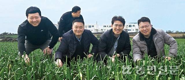 11일 제주 서귀포시 대정읍의 한 양파밭에서 고진형 제주농협조합공동사업법인 팀장(앞줄 왼쪽부터), 농협경제지주 농산물도매부 박오성 상품기획자(MD), 주현 수석MD, 박정근 팀장이 조생양파 생육상태를 살펴보고 있다.