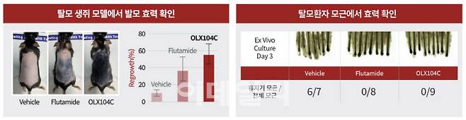 비임상 효력 시험. (사진=올릭스)