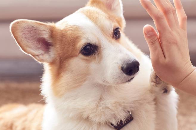 사진=클립아트코리아