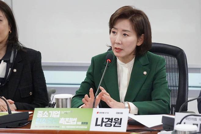 나경원 국민의힘 의원 (본인 페이스북 캡처)