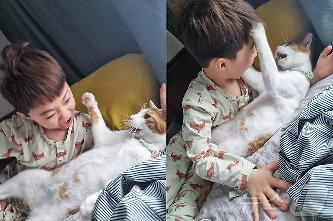 '싸우는 거 아닙니다' 고양이 금동이와 아들 윤우의 '케미' 폭발 모습 (인스타그램 Hana Ryu 제공) ⓒ 뉴스1