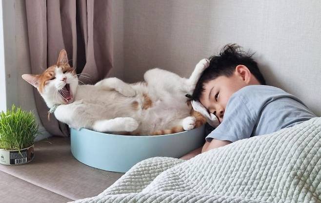 '졸린 순간도 함께한다냥~' (인스타그램 Hana Ryu 제공) ⓒ 뉴스1